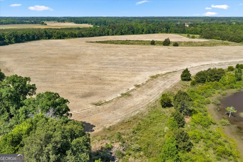 0 Highway 80 Danville, GA 31017