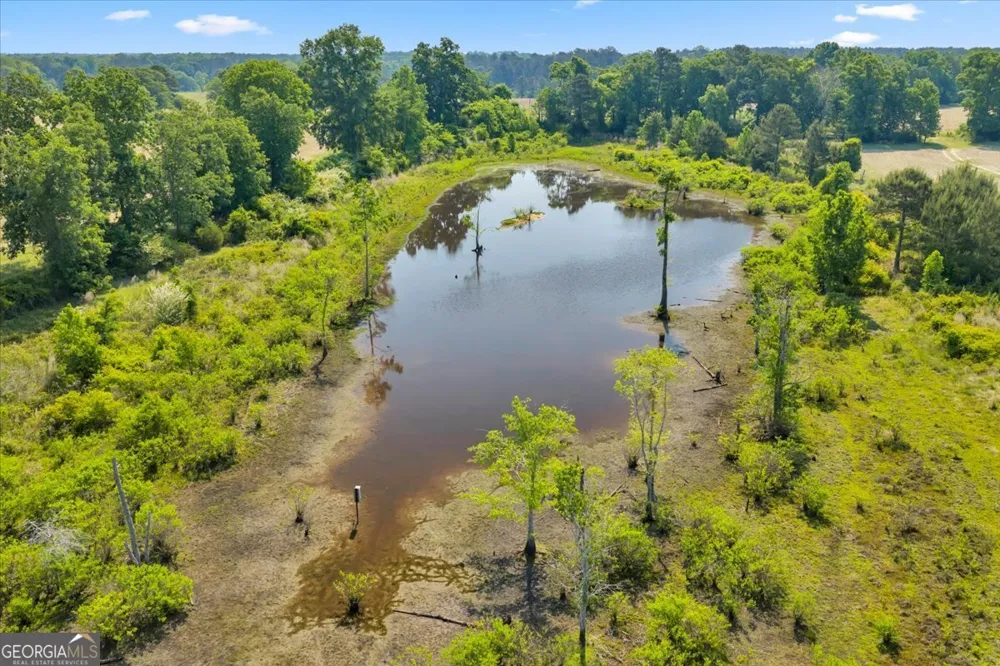 0 Highway 80 Danville, GA 31017