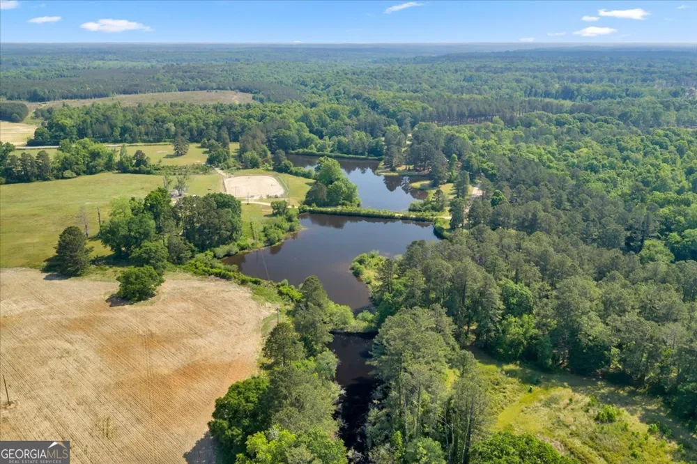 0 Highway 80 Danville, GA 31017