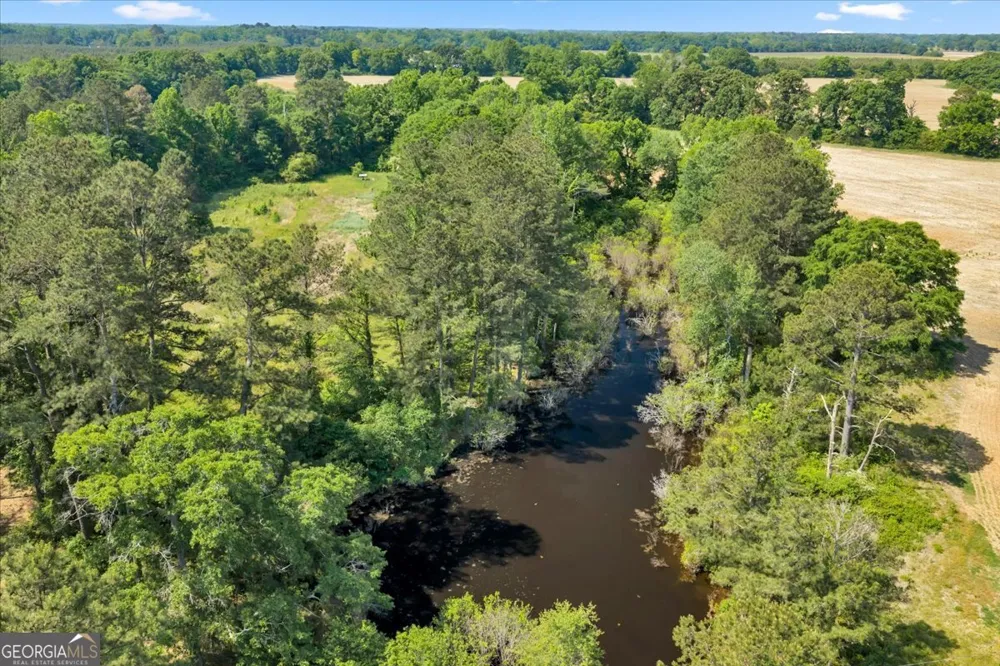 0 Highway 80 Danville, GA 31017
