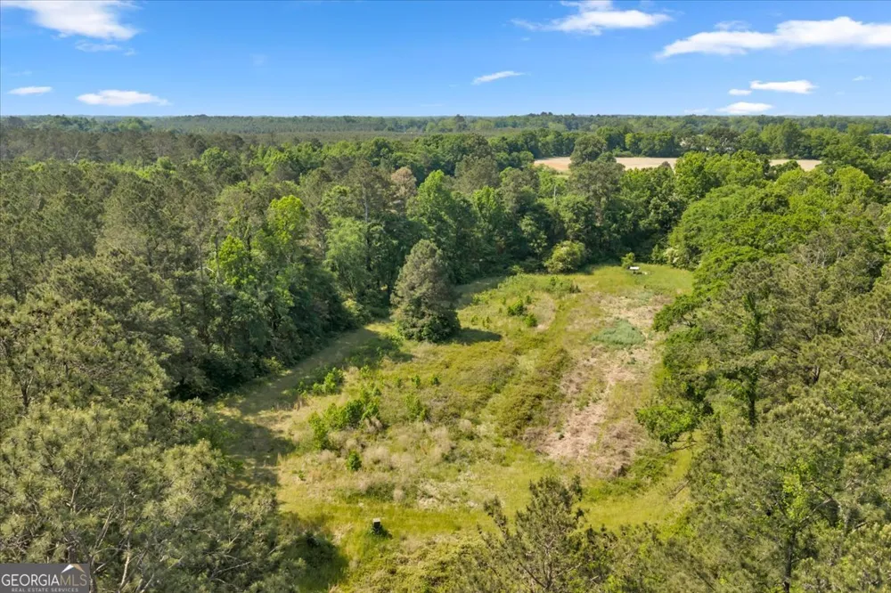 0 Highway 80 Danville, GA 31017