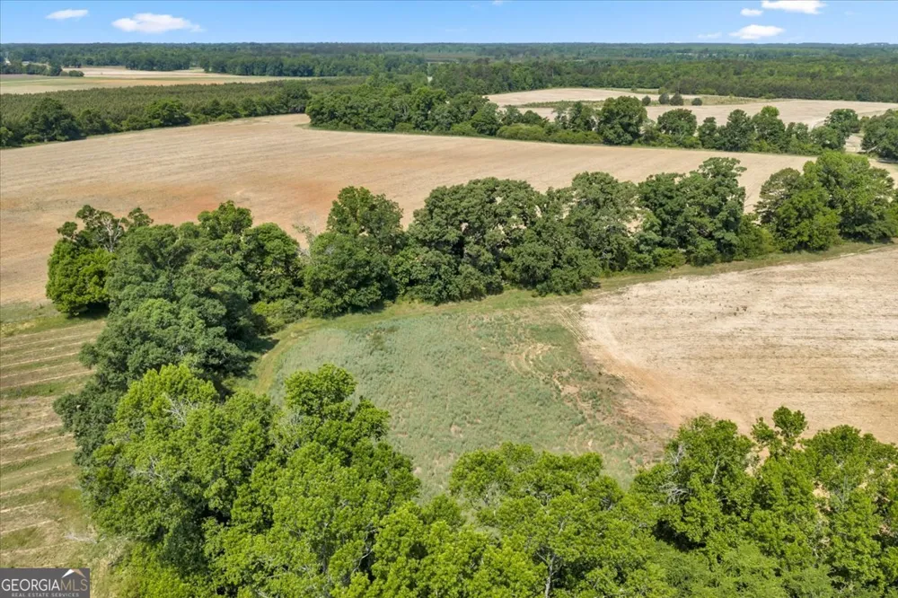 0 Highway 80 Danville, GA 31017