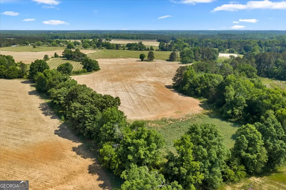 0 Highway 80 Danville, GA 31017