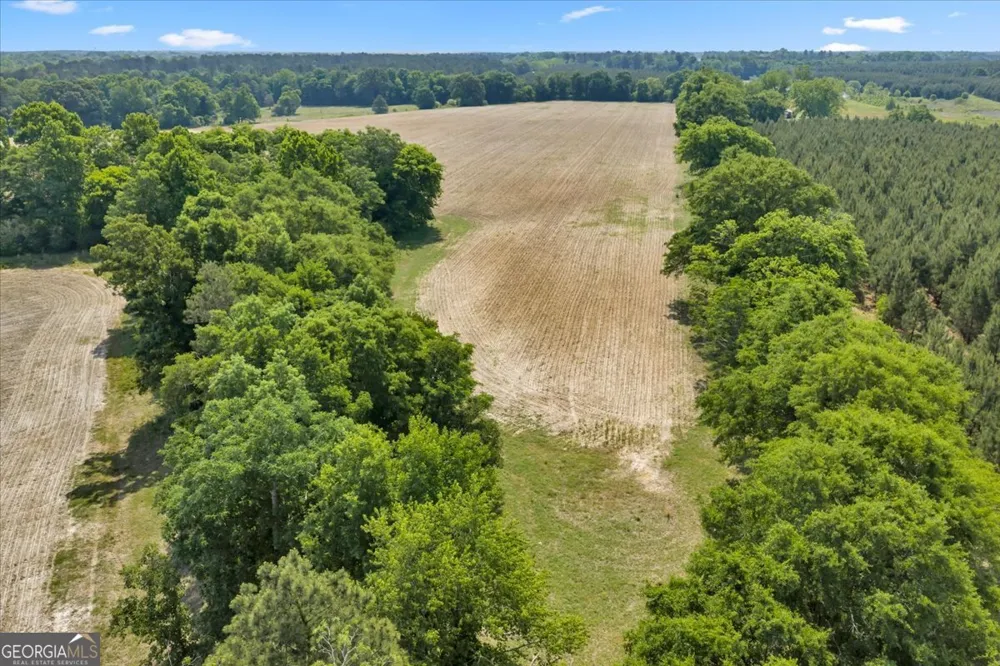 0 Highway 80 Danville, GA 31017