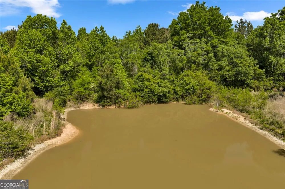 0 Highway 80 Danville, GA 31017