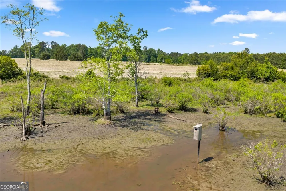 0 Highway 80 Danville, GA 31017