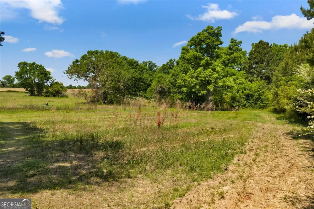 0 Highway 80 Danville, GA 31017