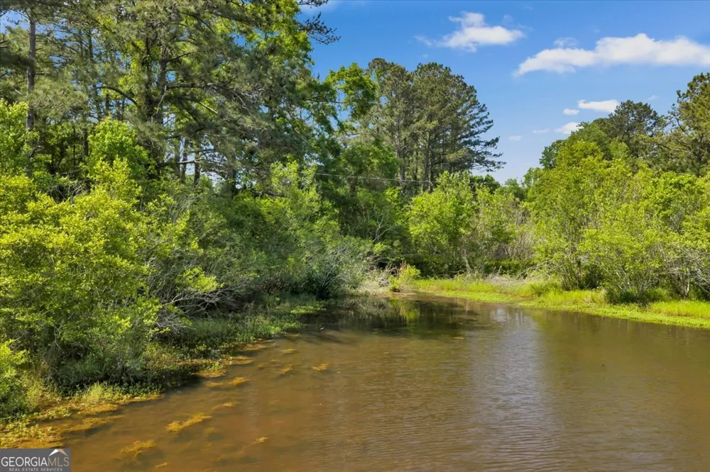 0 Highway 80 Danville, GA 31017