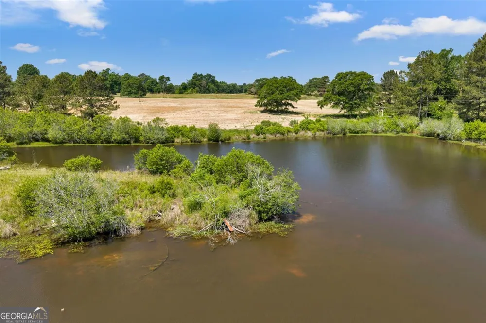 0 Highway 80 Danville, GA 31017
