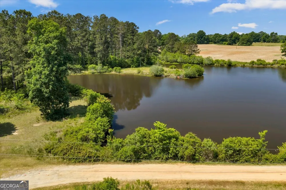 0 Highway 80 Danville, GA 31017