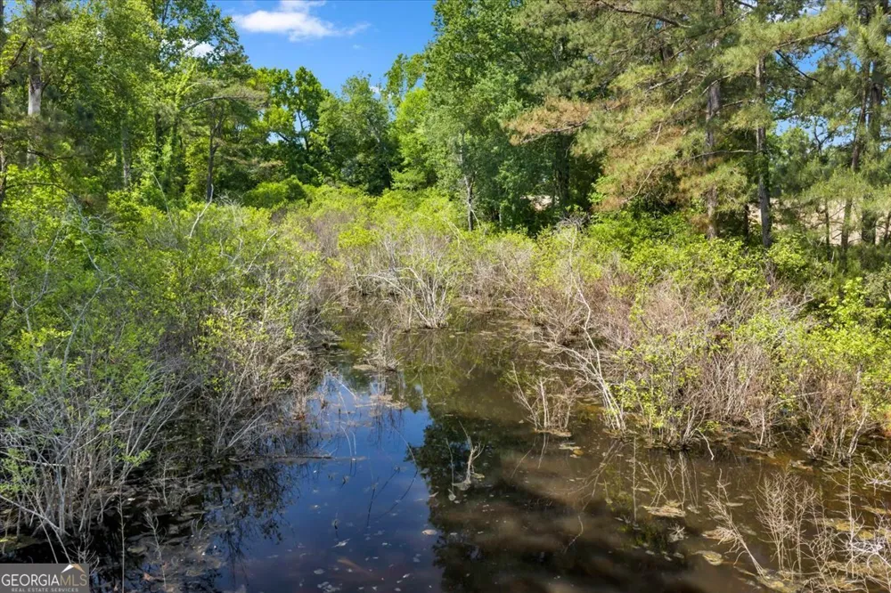0 Highway 80 Danville, GA 31017