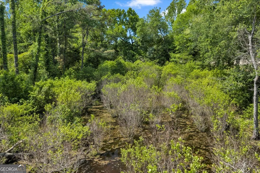 0 Highway 80 Danville, GA 31017