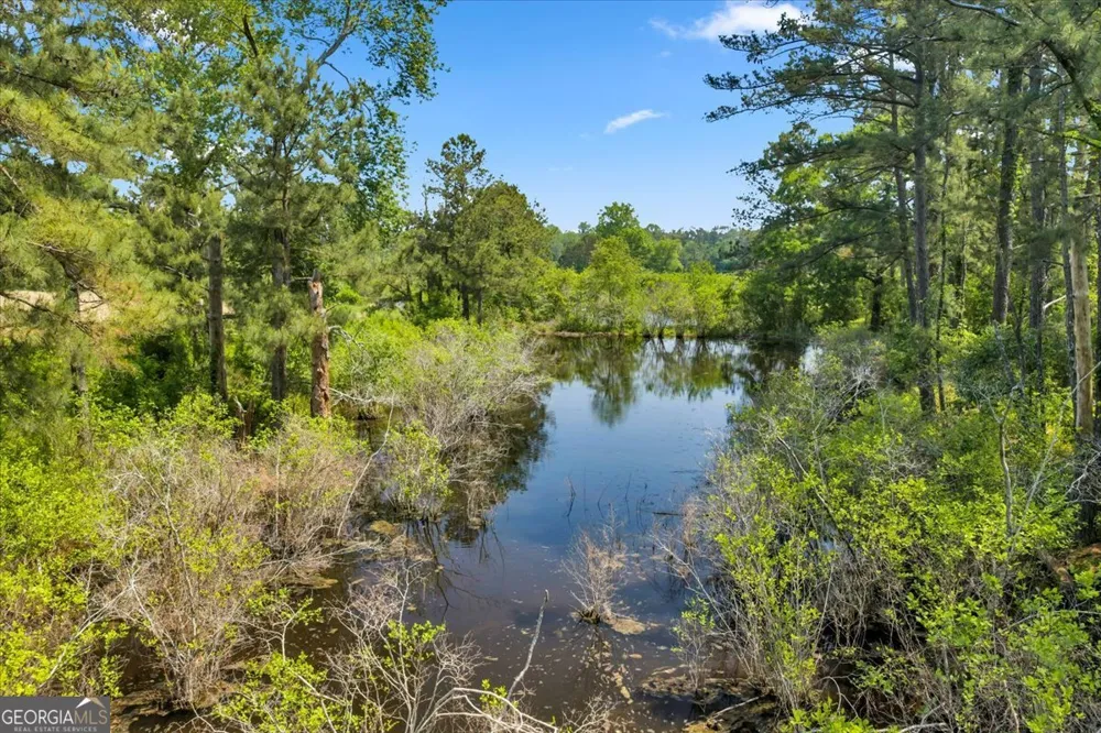0 Highway 80 Danville, GA 31017
