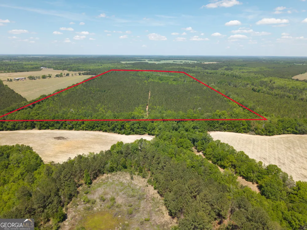 0 Effingham HWY Sylvania, GA 30467