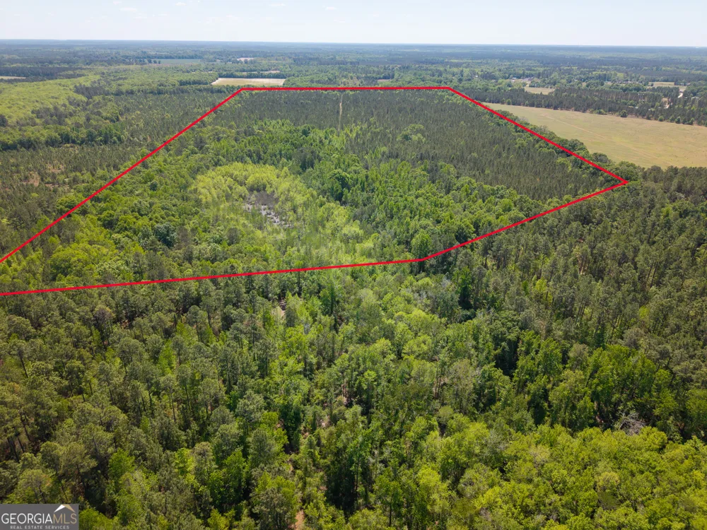 0 Effingham HWY Sylvania, GA 30467