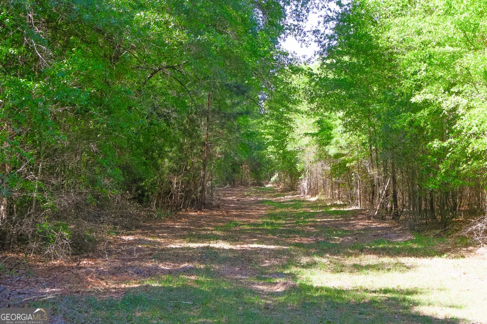 0 Effingham HWY Sylvania, GA 30467
