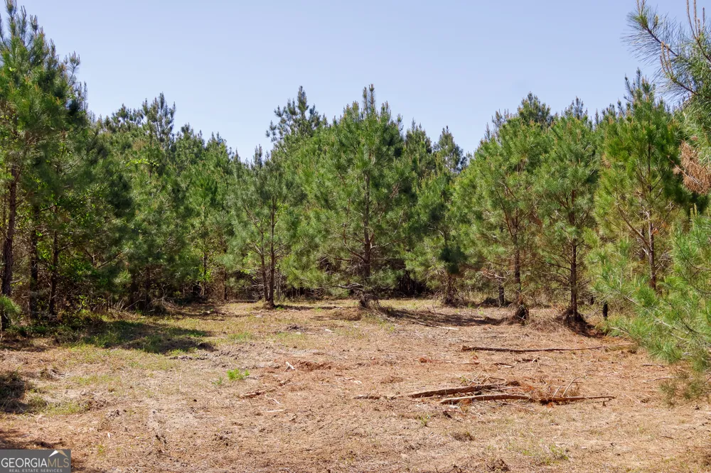 0 Effingham HWY Sylvania, GA 30467