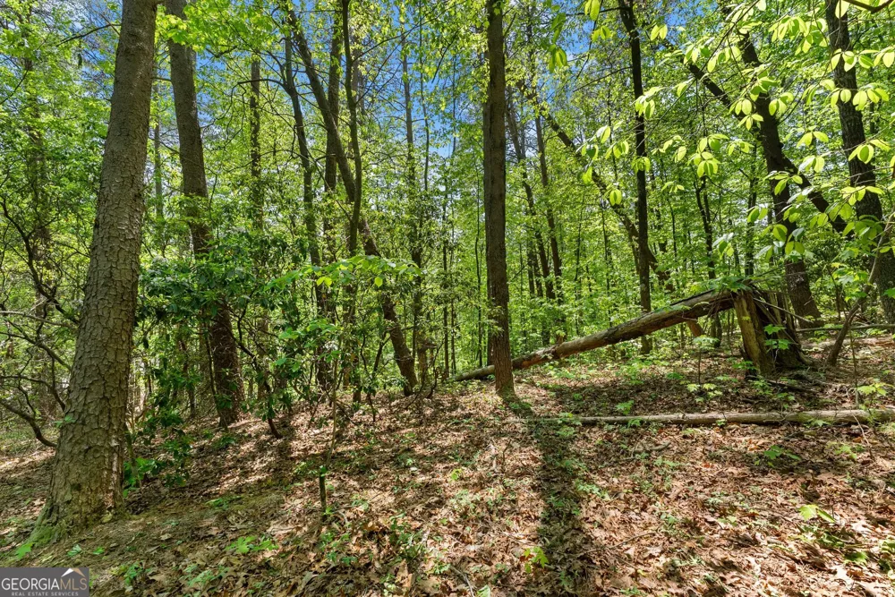0 Monroe Ridge RD Sautee Nacoochee, GA 30571