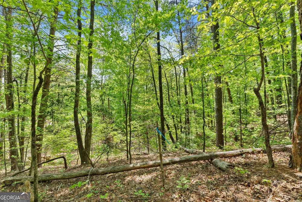 0 Monroe Ridge RD Sautee Nacoochee, GA 30571