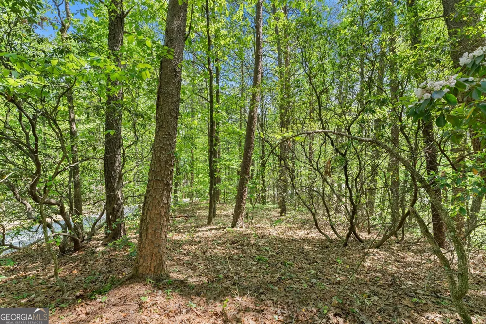 0 Monroe Ridge RD Sautee Nacoochee, GA 30571