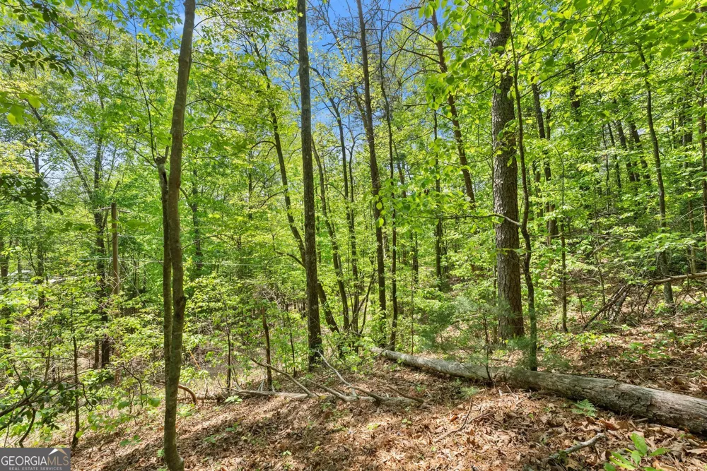 0 Monroe Ridge RD Sautee Nacoochee, GA 30571