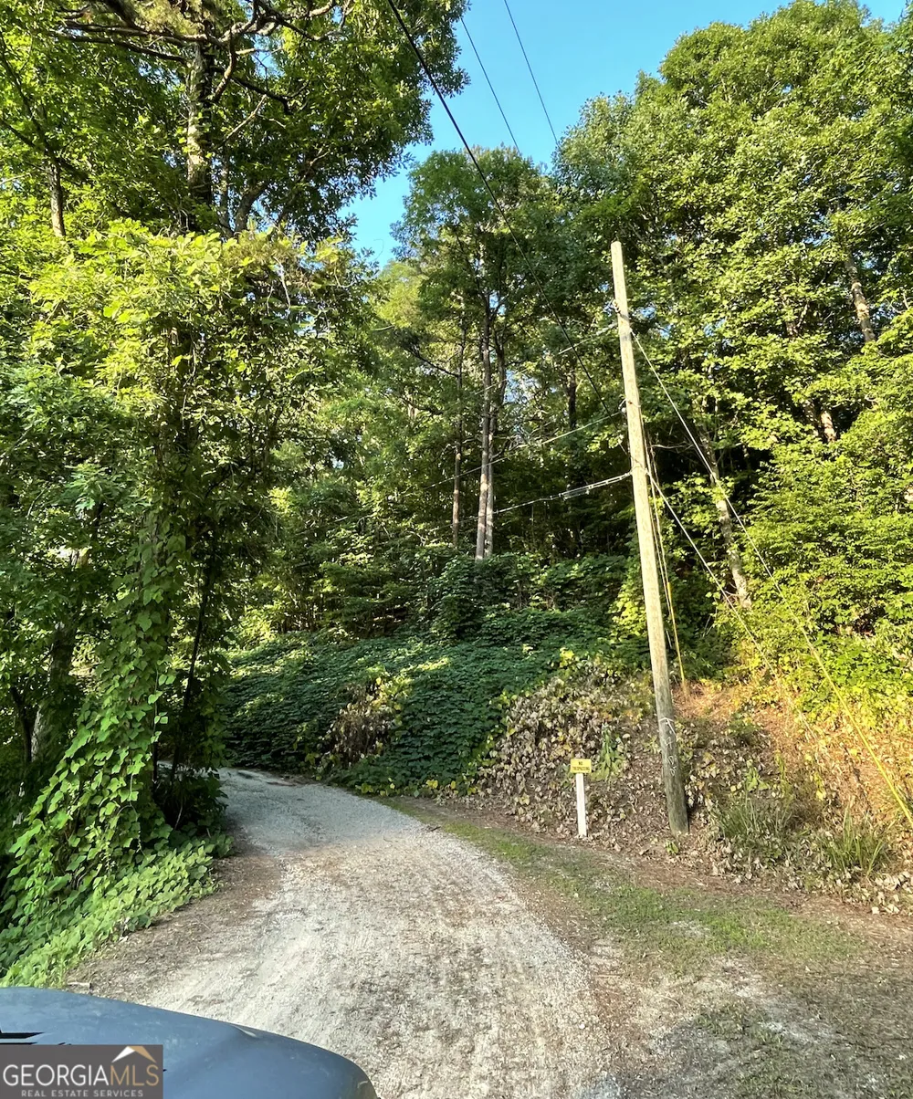 0 Us Highway 78 Tallapoosa, GA 30176