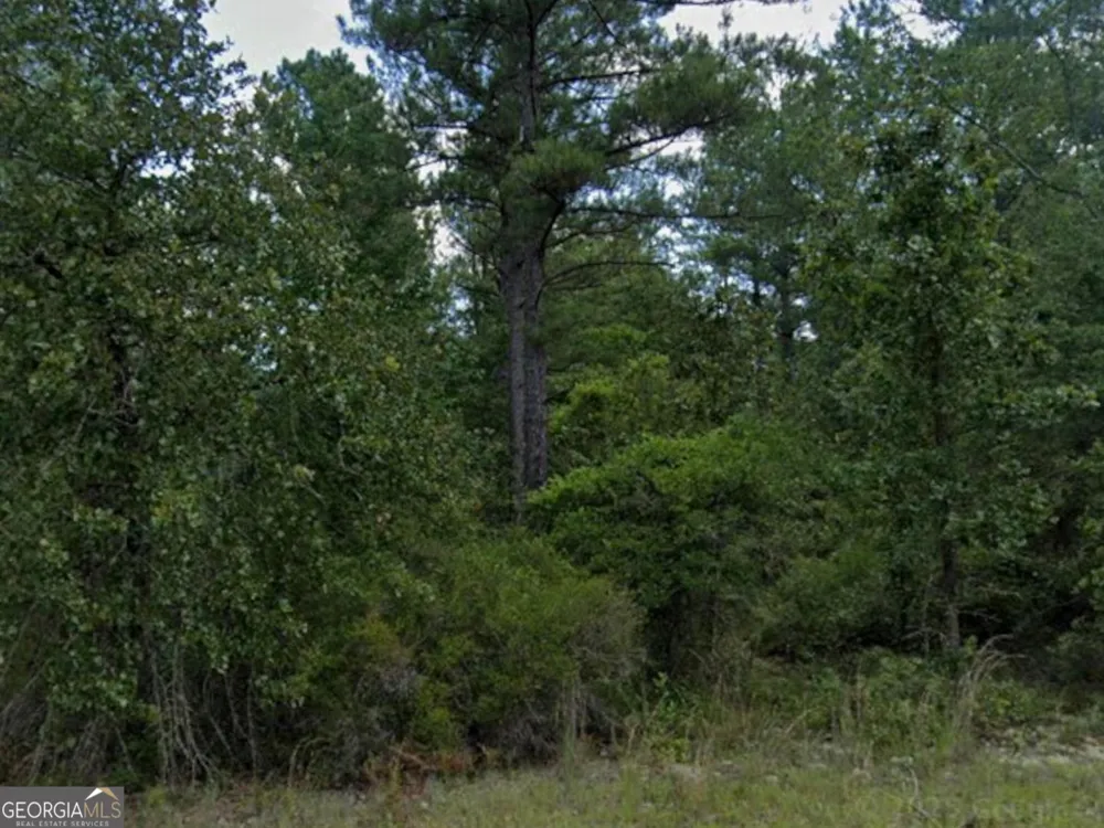 0 Addie TRL Dublin, GA 31021