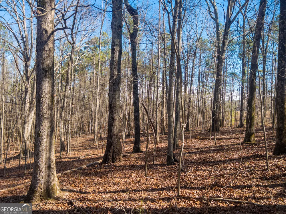 0 E Carroll RD Winston, GA 30187