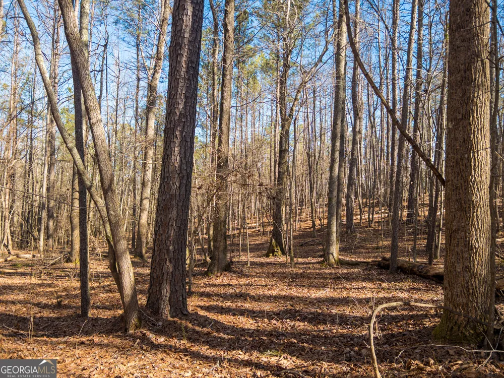 0 E Carroll RD Winston, GA 30187