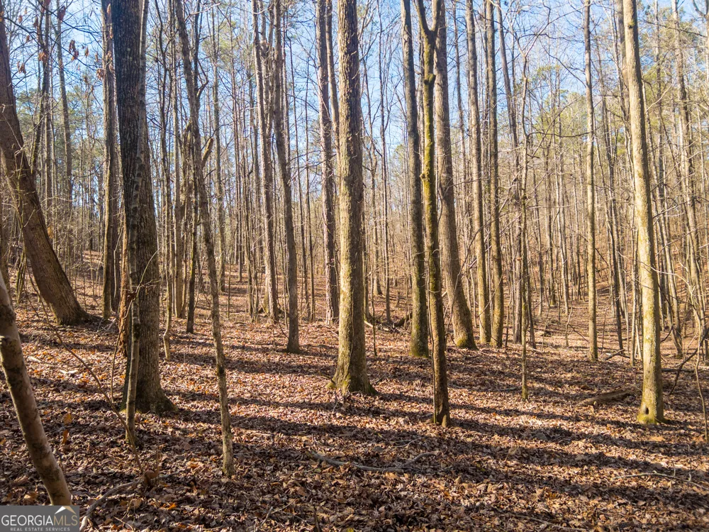 0 E Carroll RD Winston, GA 30187