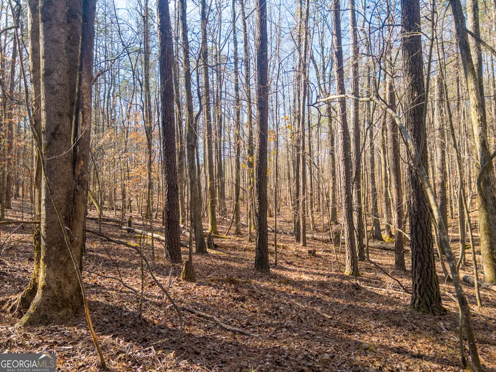 0 E Carroll RD Winston, GA 30187
