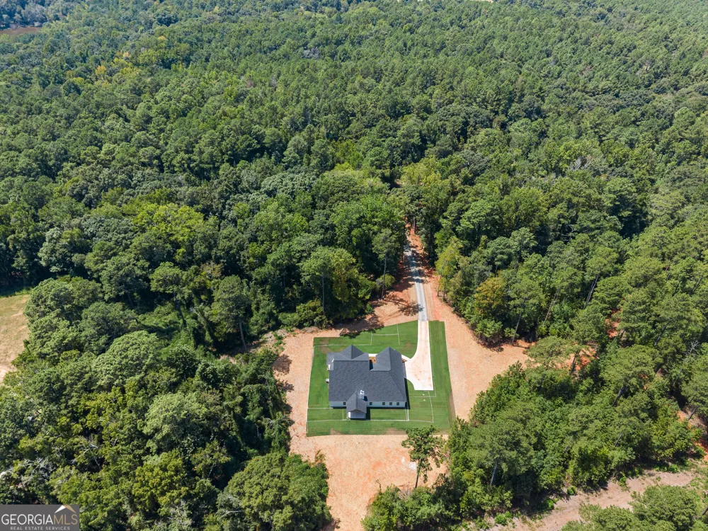 431 Old Rumble RD Forsyth, GA 31029