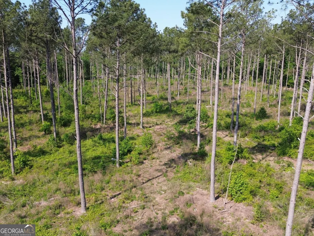 4625 Storey Mill RD Hephzibah, GA 30815