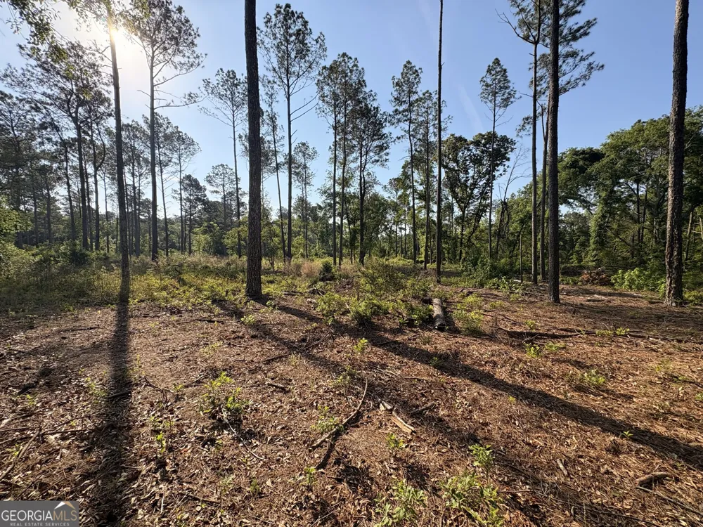 4625 Storey Mill RD Hephzibah, GA 30815
