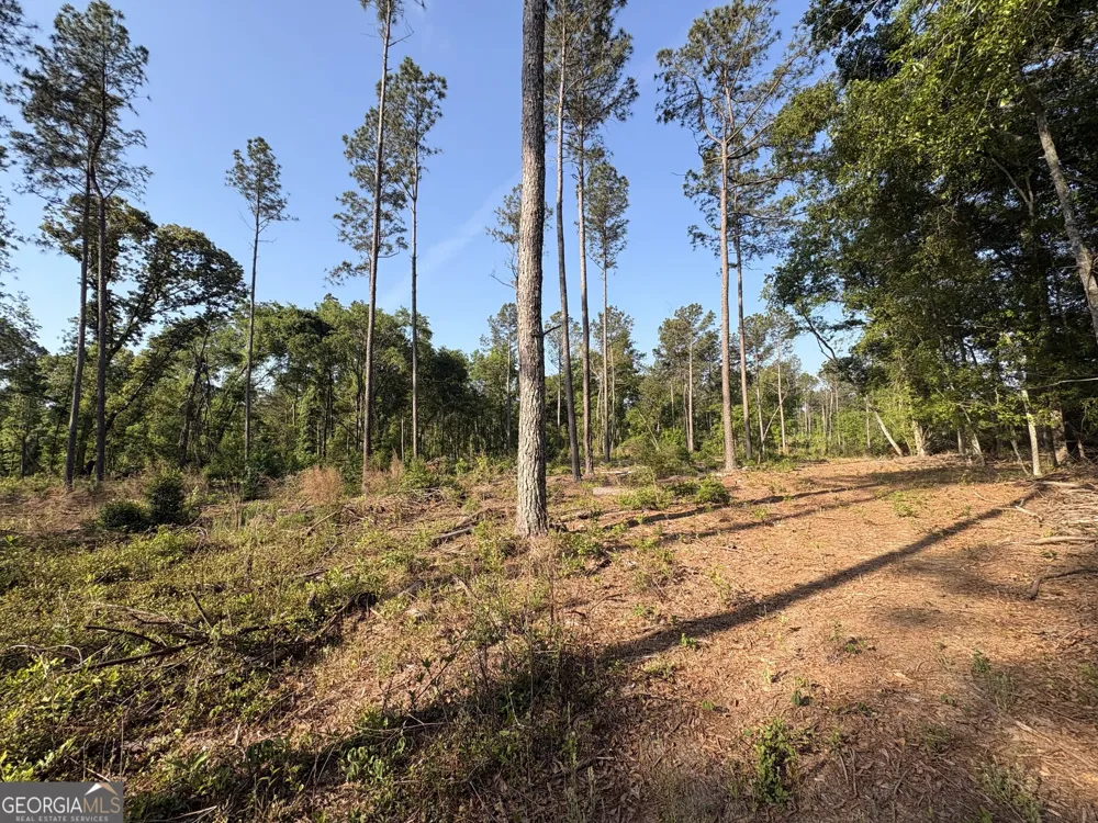 4625 Storey Mill RD Hephzibah, GA 30815