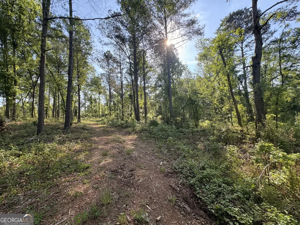 4625 Storey Mill RD Hephzibah, GA 30815
