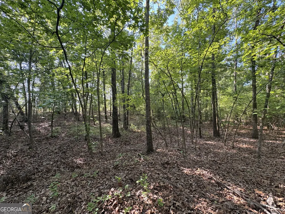 4625 Storey Mill RD Hephzibah, GA 30815