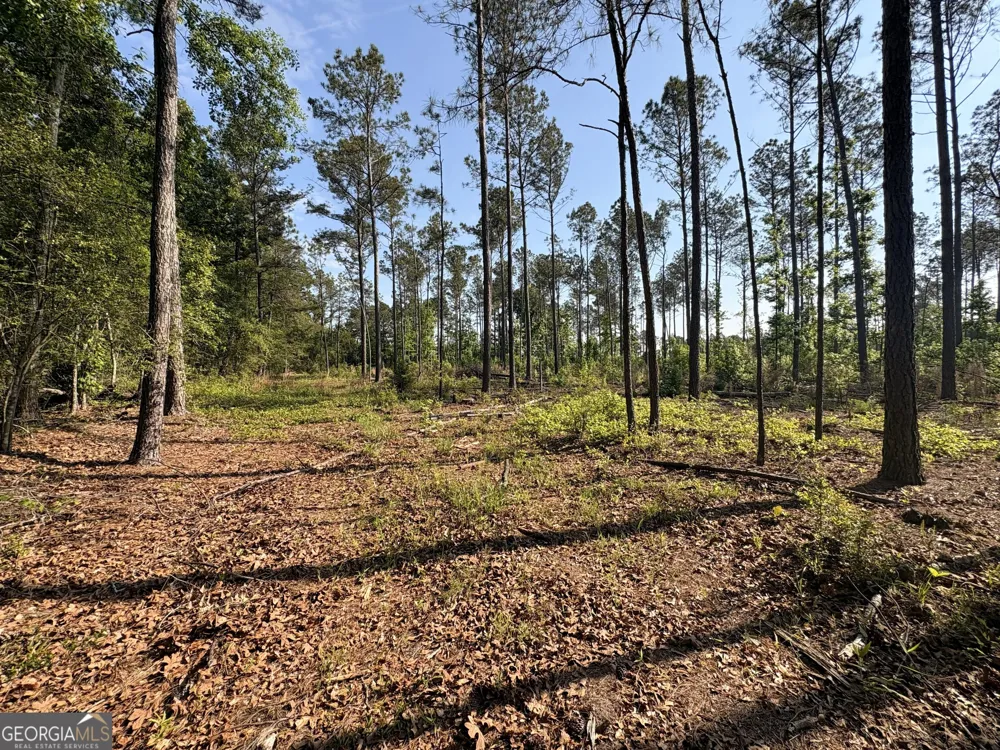 4625 Storey Mill RD Hephzibah, GA 30815