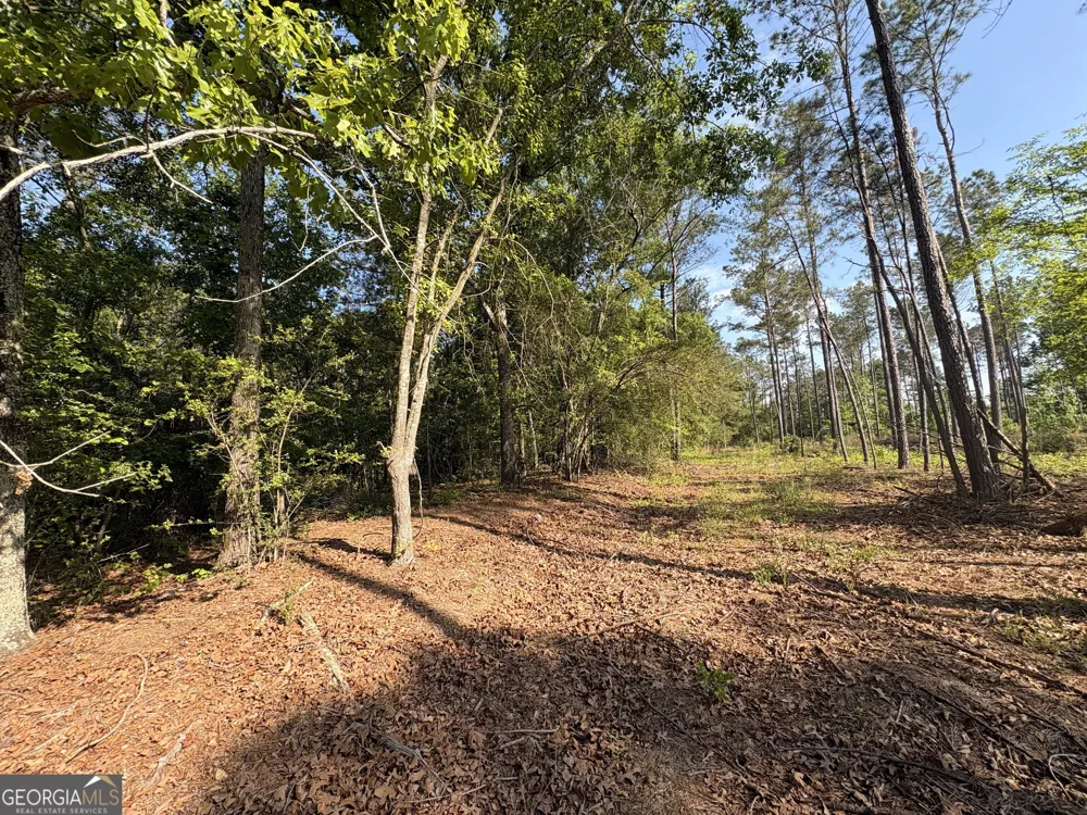 4625 Storey Mill RD Hephzibah, GA 30815