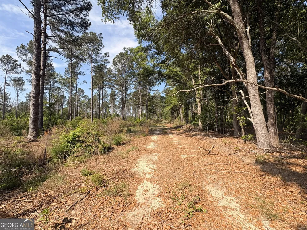 4625 Storey Mill RD Hephzibah, GA 30815