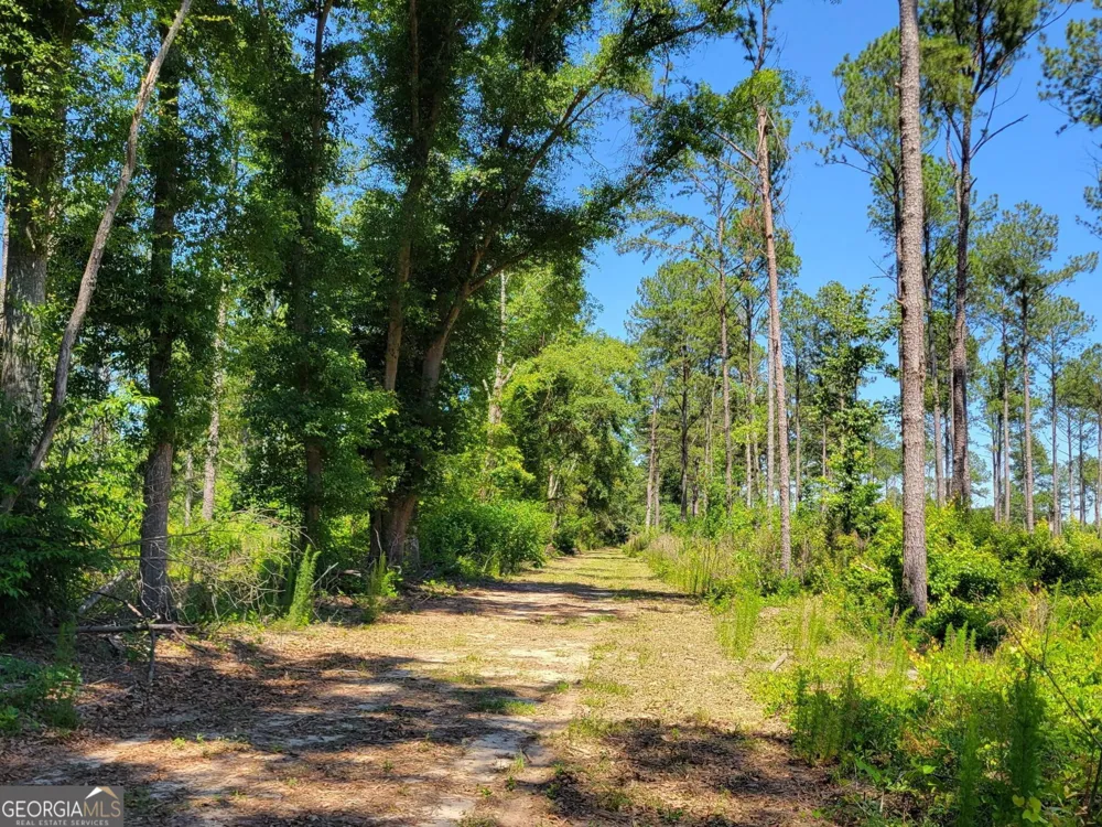 4625 Storey Mill RD Hephzibah, GA 30815
