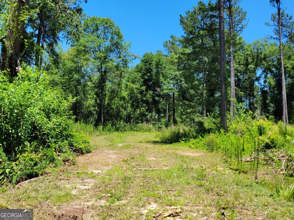 4625 Storey Mill RD Hephzibah, GA 30815