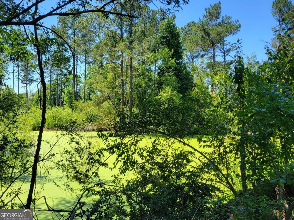 4625 Storey Mill RD Hephzibah, GA 30815