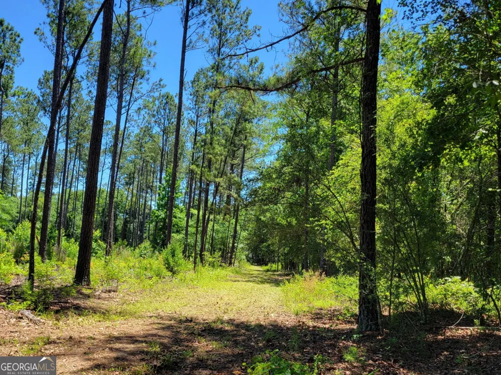 4625 Storey Mill RD Hephzibah, GA 30815