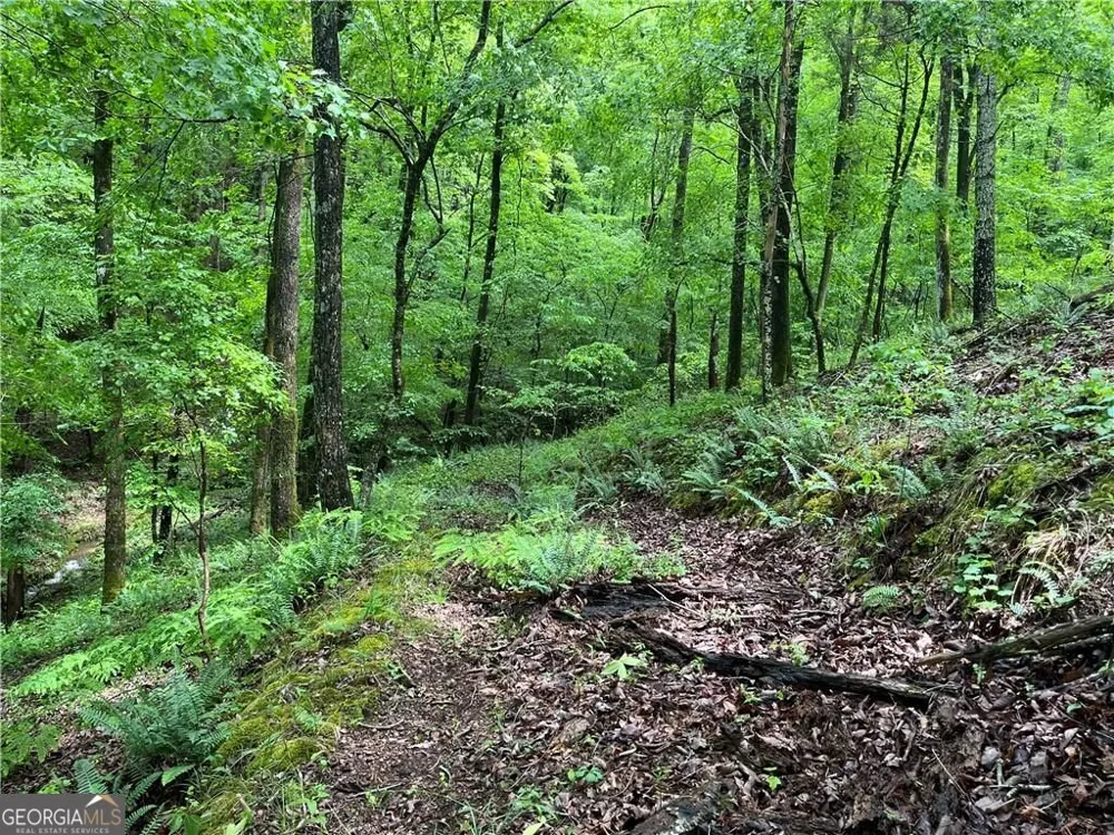1720 Rebekah Ridge RD Talking Rock, GA 30175