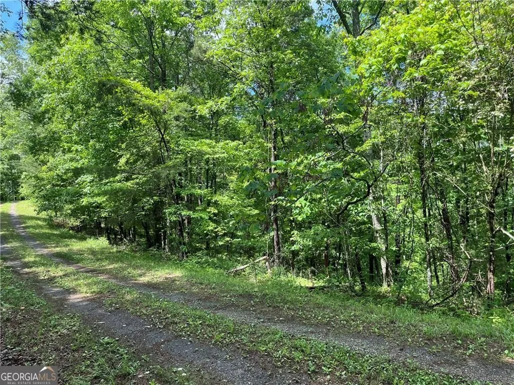 1720 Rebekah Ridge RD Talking Rock, GA 30175