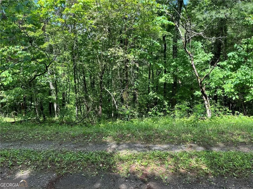 1720 Rebekah Ridge RD Talking Rock, GA 30175