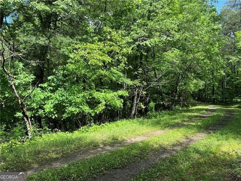 1720 Rebekah Ridge RD Talking Rock, GA 30175