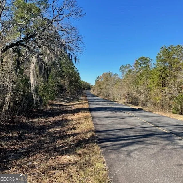 LOT A Pineville RD Buena Vista, GA 31803