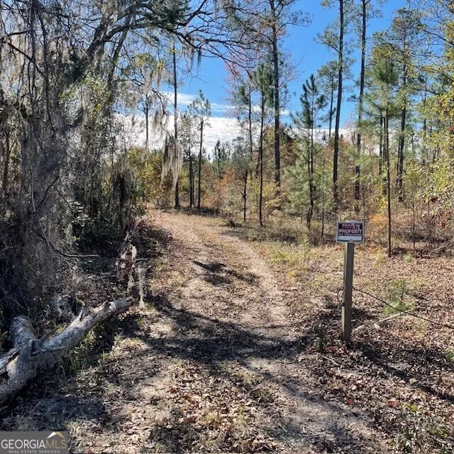 LOT A Pineville RD Buena Vista, GA 31803